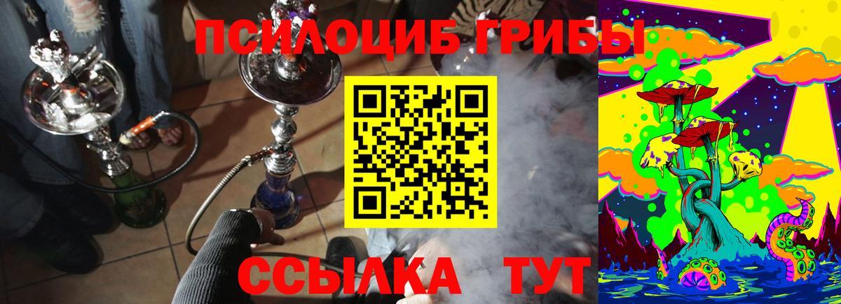 Псилоцибиновые грибы Cubensis Дедовск